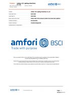 BSCI_Summary Audit Report