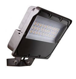 Flood Light -Glass